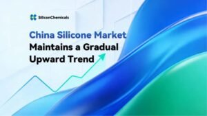 China Silicone Market