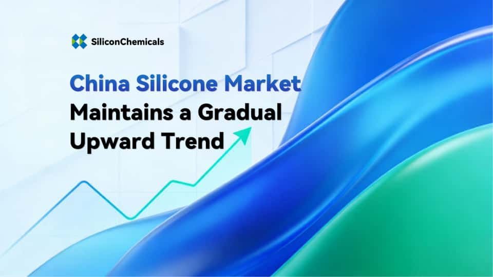 China Silicone Market