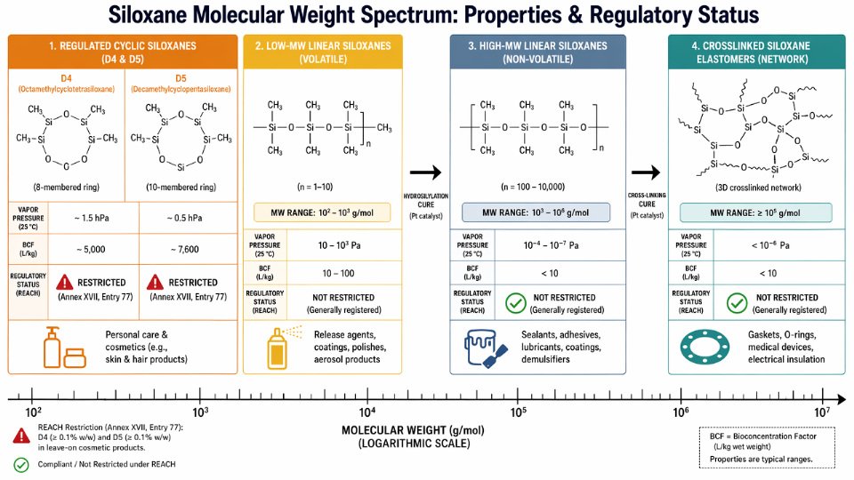 Flat vector diagram showing the molecular weight spectrum of siloxane forms from volatile cyclic oligomers D4/D5/D6 through low-MW linear PDMS to high-MW crosslinked elastomers, with regulatory status and key properties annotated