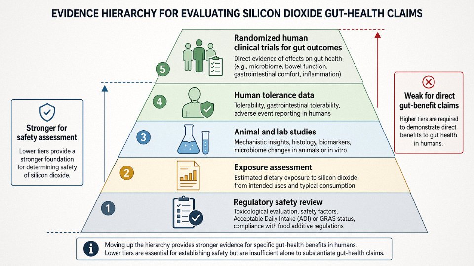 Evidence hierarchy comparing safety data with gut-health claim evidence for silicon dioxide