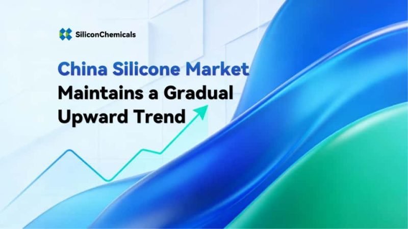 China Silicone Market
